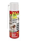COMPO Ameisen-Spray N, Insektenspray, 400