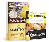 Nemagro KOMBIPACK gegen Trauermücken SF-Nematoden M + Naturen® Gelbtafeln -...